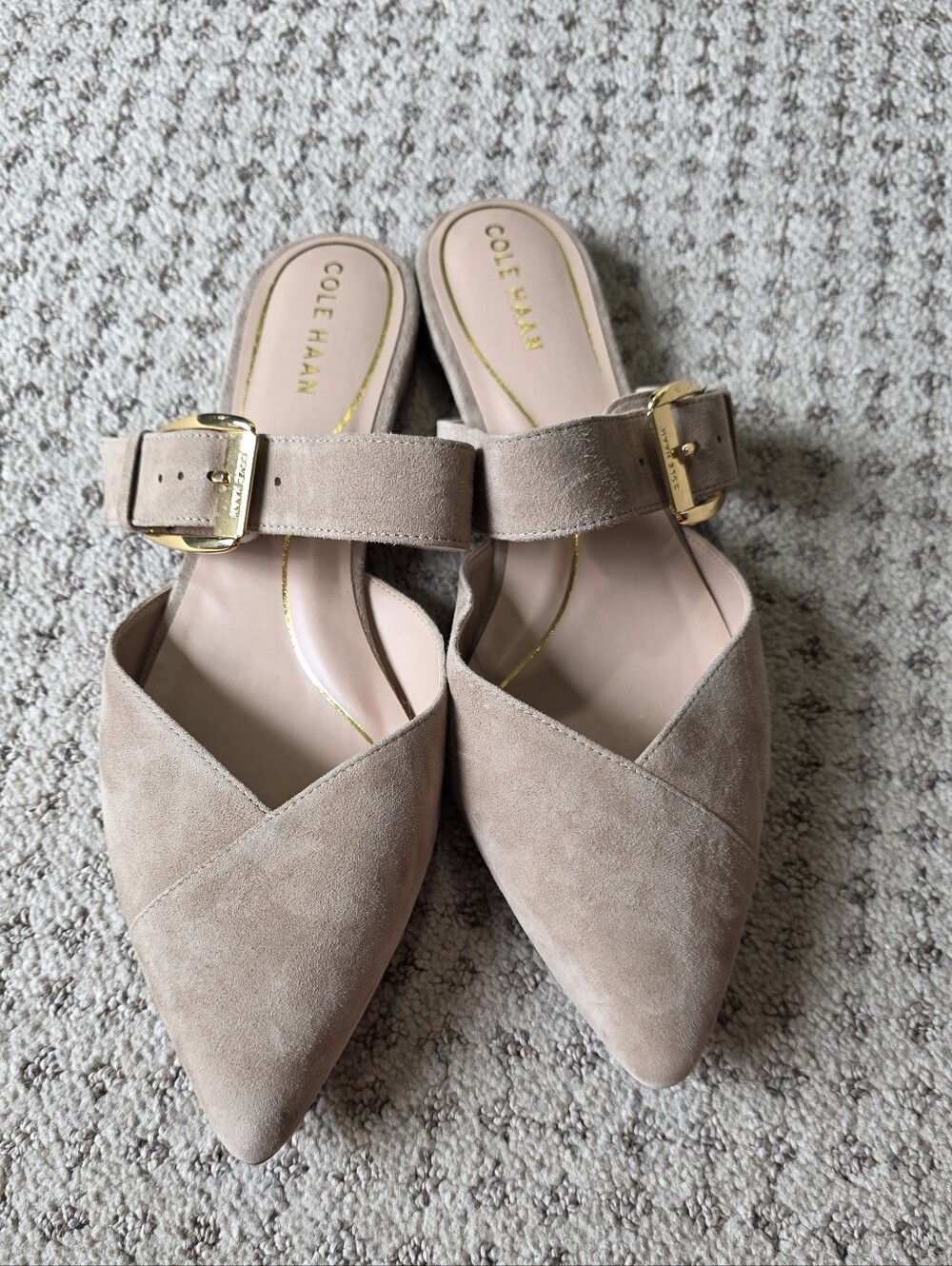 Cole Haan Blush Taupe Suede Pointed Mule with Gold Buckle